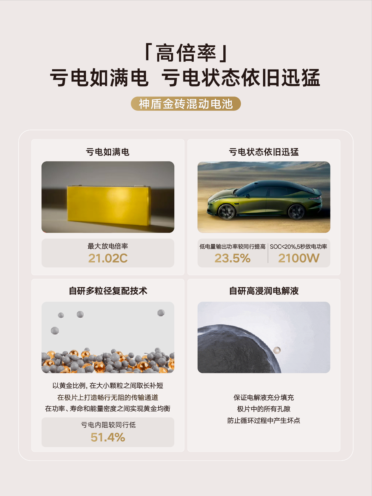 一篇看懂神盾金砖电池金标准6.png